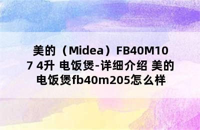 美的（Midea）FB40M107 4升 电饭煲-详细介绍 美的电饭煲fb40m205怎么样